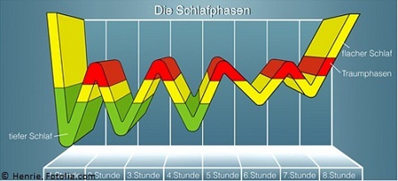 Diagramm abwechselnde Tief-, Traum- und leichte Schlafphasen