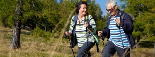 Ein älterer Mann und eine ältere Frau gehen im Grünen spazieren und benutzen Nordic Walkung Stöcke Ein älterer Mann und eine ältere Frau gehen im Grünen spazieren und benutzen Nordic Walkung Stöcke